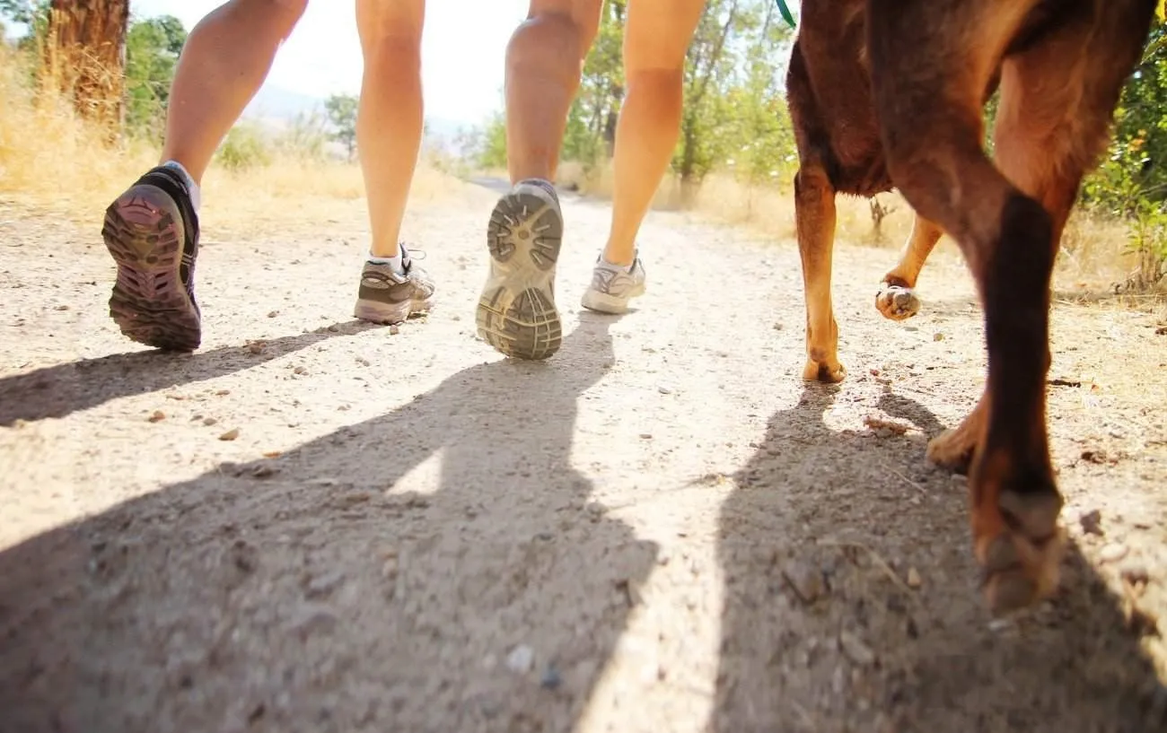 Крупный план людей's feet walking with their dog. 