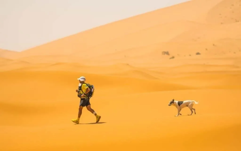 Этапная гонка в пустыне: Marathon des Sables 4