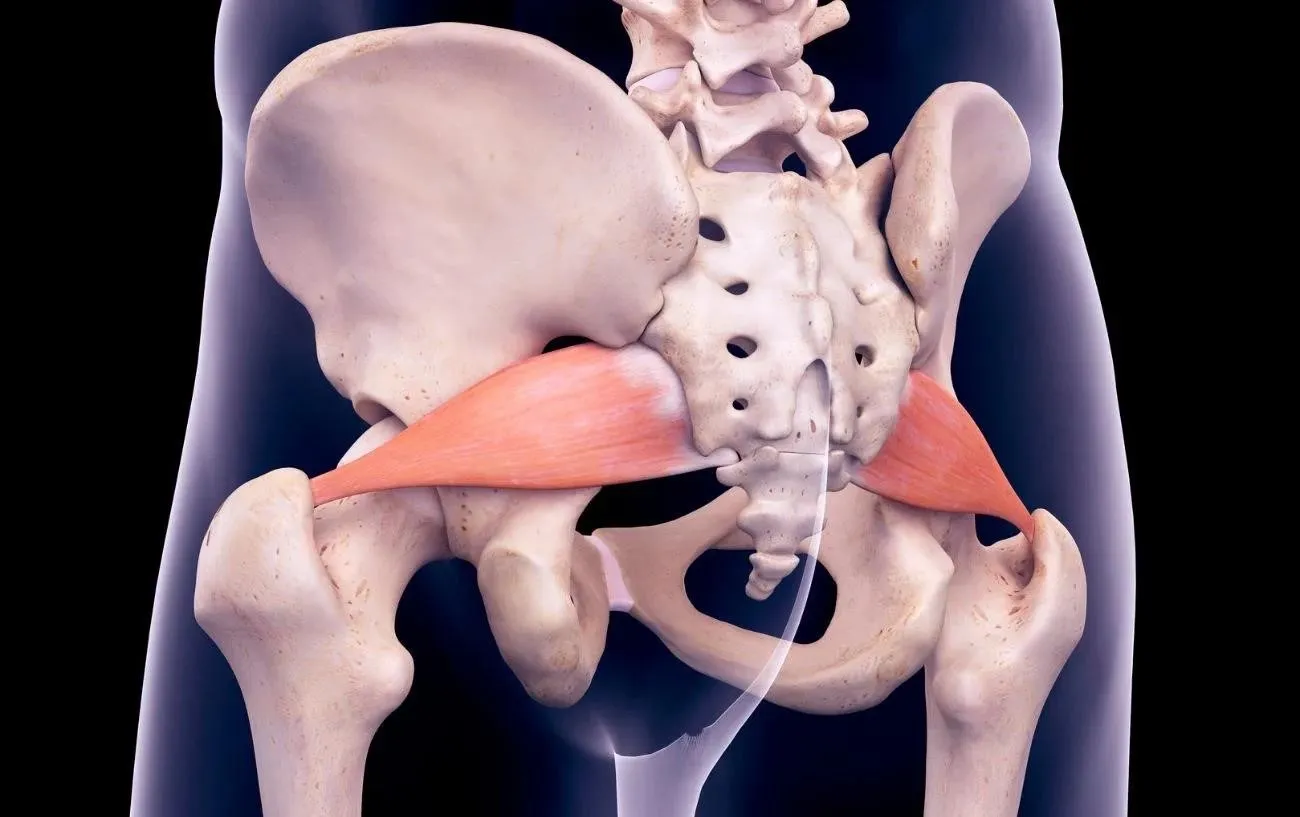 Piriformis Syndrome For Runners: Diagnosis, Symptoms, And Treatment