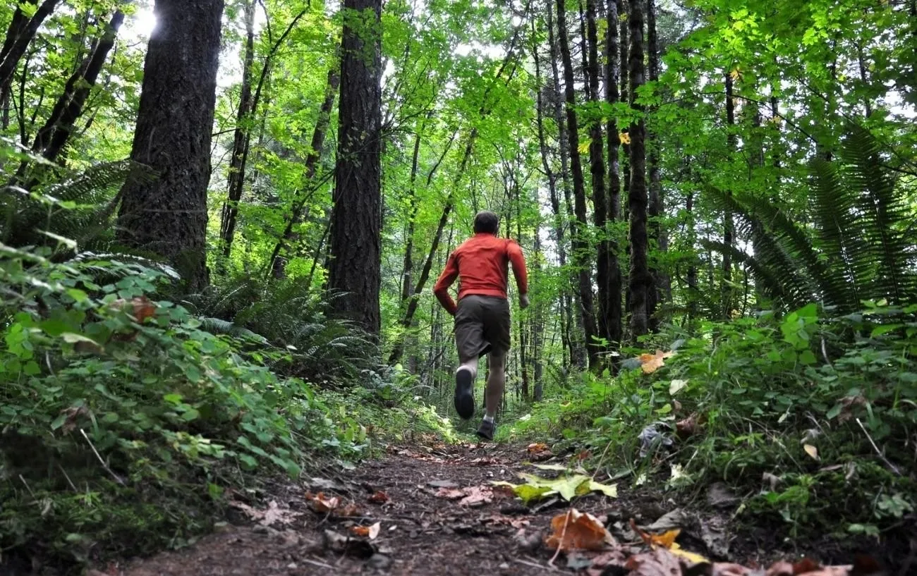 Том Эванс не выйдет на старт Ultra Trail Cape Town после жестокого ограбления на тренировке