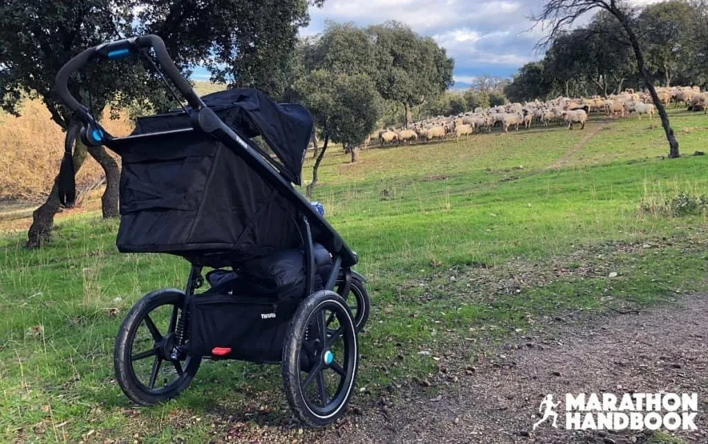 thule urban glide 2 sheep